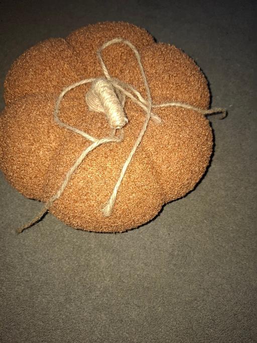 Buy & Sell Dodworth Barnsley - Photos for pumpkin decoration