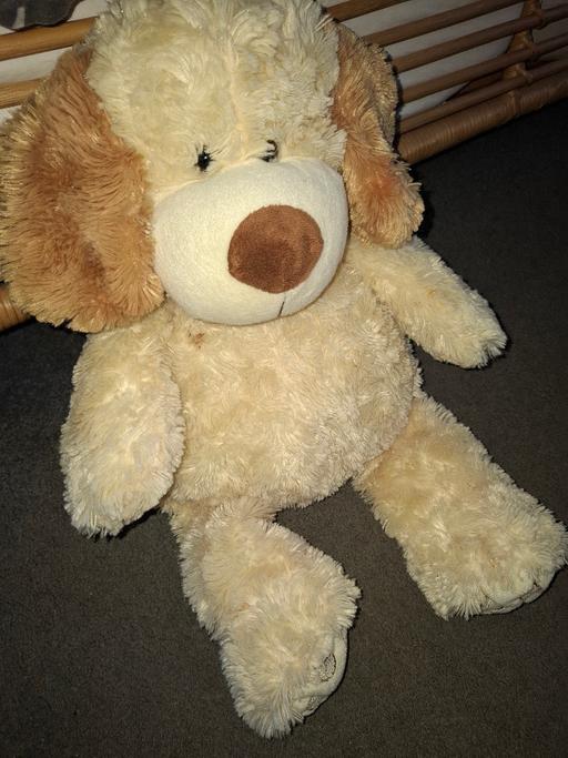 Buy & Sell Dodworth Barnsley - Photos for teddy