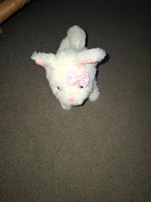 Buy & Sell Dodworth Barnsley - Photos for walking cat toy teddy