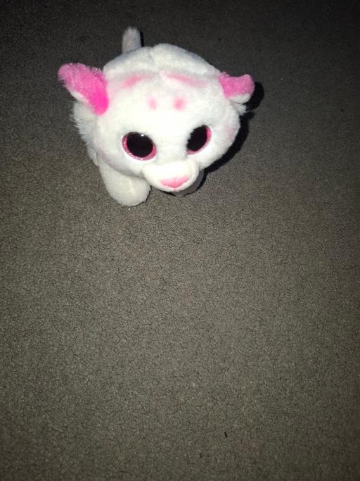 Buy & Sell Dodworth Barnsley - Photos for ty teddy