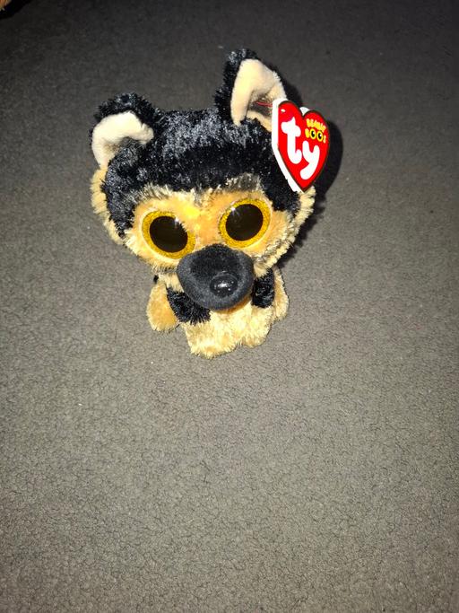 Buy & Sell Dodworth Barnsley - Photos for ty teddy