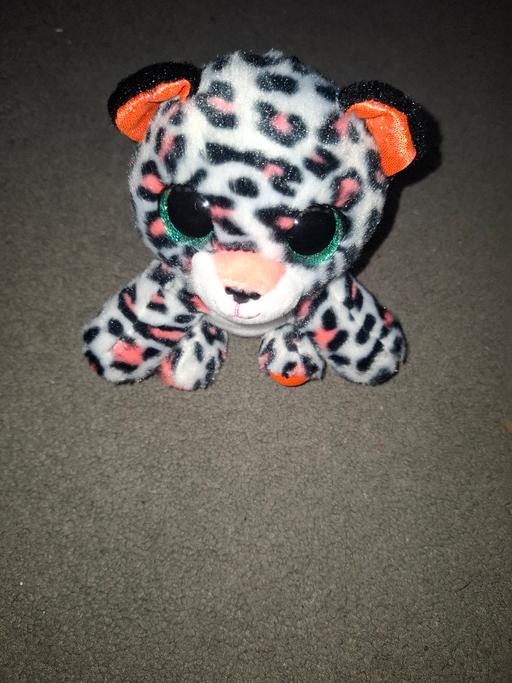 Buy & Sell Dodworth Barnsley - Photos for teddy