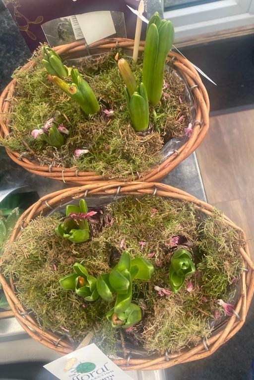 Buy & Sell Camp Hill Birmingham - Photos for Floral baskets