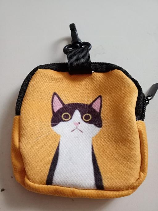 Buy & Sell Horncastle East Lindsey - Photos for brand new cat design purse/ bag