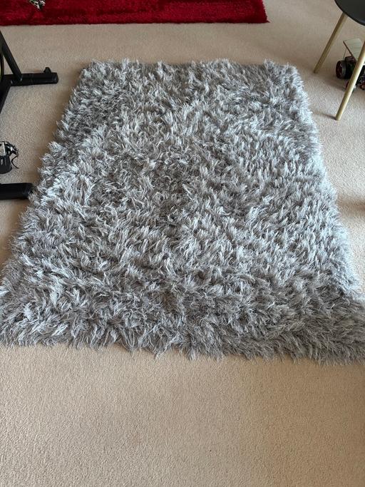 Buy & Sell Alcombe Somerset - Photos for Silver /Grey is Rug