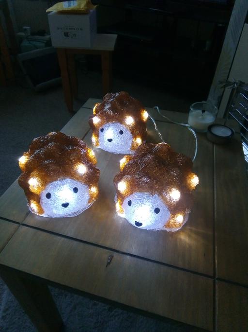 Buy & Sell Yew Tree Estate Sandwell - Photos for Christmas Hedgehogs