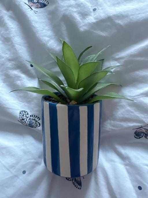 Buy & Sell Woodsetton Dudley - Photos for Artificial plant