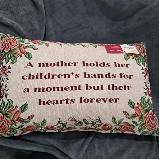 Buy & Sell Four Oaks Birmingham - Photos for Past Times tapestry pillow