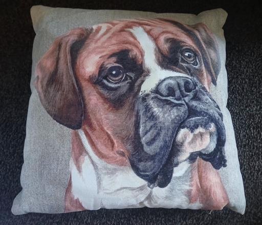 Buy & Sell Beeston Broxtowe - Photos for Next Dog Cushion )