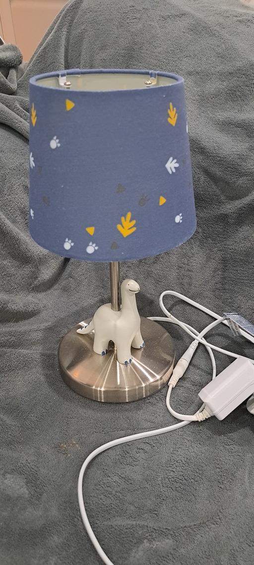 Buy & Sell Sutton Coldfield Birmingham - Photos for Dinosaur Lamp