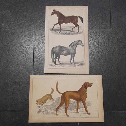 Buy & Sell Preston South Ribble - Photos for ANTIQUARIAN ENGRAVINGS / BOOK PLATES