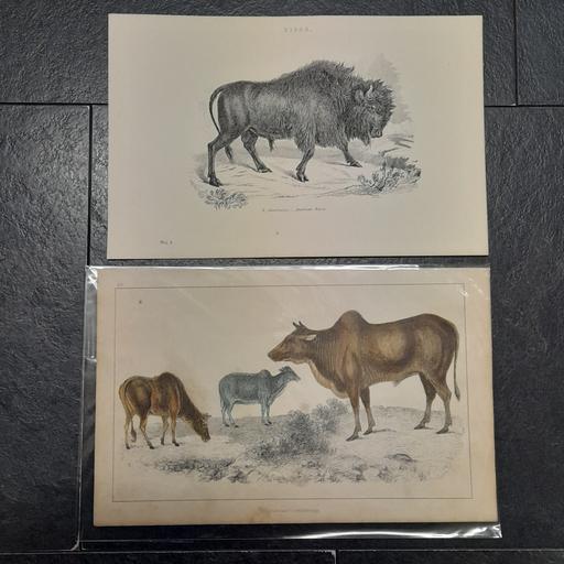 Buy & Sell Preston South Ribble - Photos for ANTIQUARIAN ENGRAVINGS / BOOK PLATES