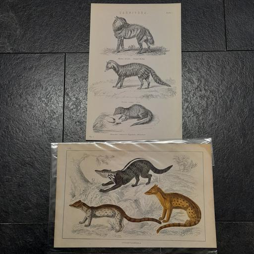 Buy & Sell Walton-Le-Dale South Ribble - Photos for ANTIQUARIAN ENGRAVINGS / BOOK PLATES