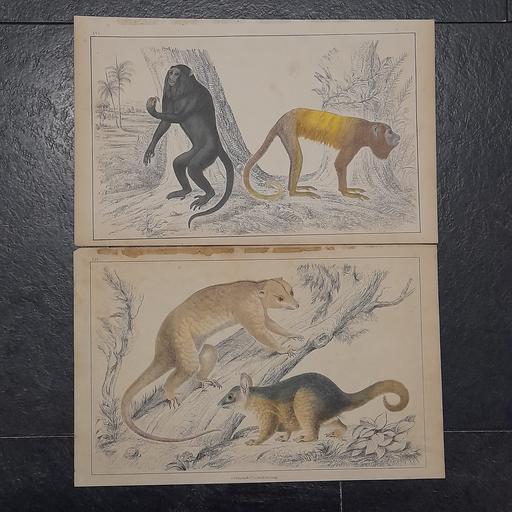 Buy & Sell Preston South Ribble - Photos for ANTIQUARIAN ENGRAVINGS / BOOK PLATES