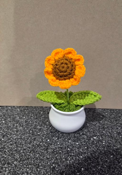 training Westgate-on-Sea Thanet - Photos for CROCHET SUNFLOWER