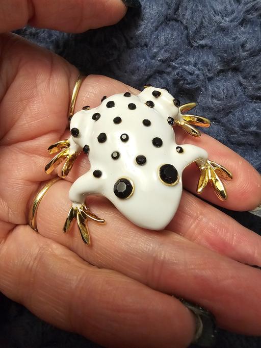 Buy & Sell Pilsley North East Derbyshire - Photos for brooch large frog