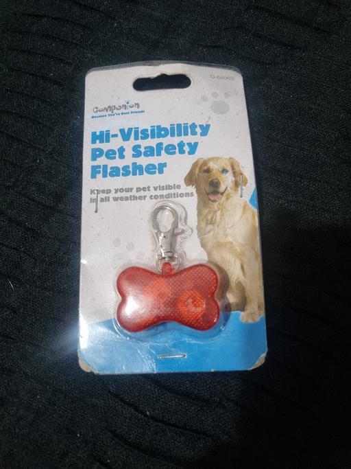 Buy & Sell Bournville Birmingham - Photos for Hi Vis Pet Flasher
