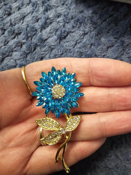 Buy & Sell Pilsley North East Derbyshire - Photos for brooch