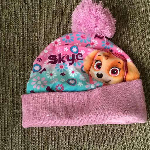Buy & Sell Essington Wolverhampton - Photos for Skye Paw Patrol hat