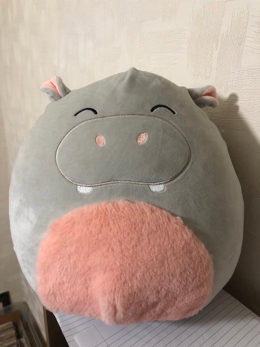 Buy & Sell Bamber Bridge South Ribble - Photos for Original Squishmallows - Hippo - Soft Toy