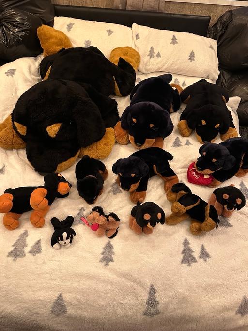 Buy & Sell Bushbury Wolverhampton - Photos for Rottweiler gorgeous cuddly toy bundle