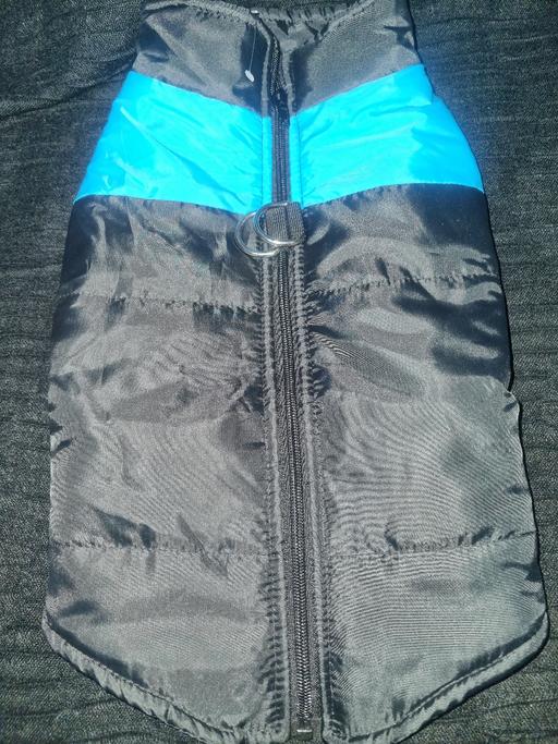 Buy & Sell Bournville Birmingham - Photos for Dog Coat Large