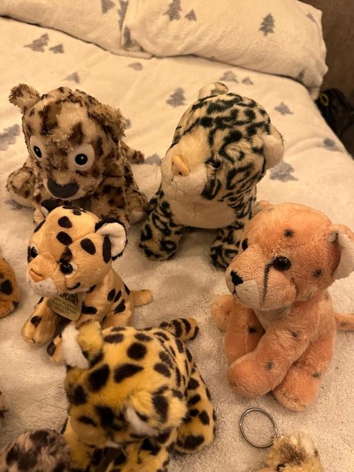Buy & Sell Fallings Park Wolverhampton - Photos for Leopard cuddly toy bundle