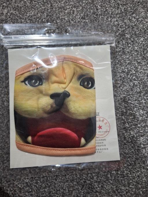Buy & Sell Ettingshall Park Wolverhampton - Photos for New Kids animal face mask