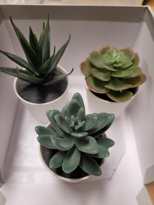 Buy & Sell Ibstock North West Leicestershire - Photos for miniature plastic succulent plants x 3