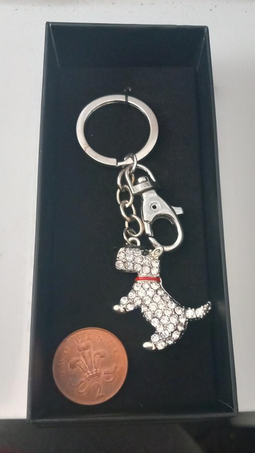 Buy & Sell Thatto Heath Saint Helens - Photos for New gemstone dog keyring