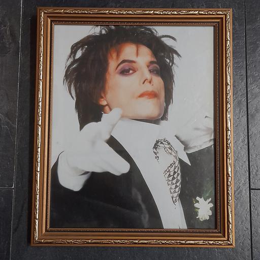 Buy & Sell Preston South Ribble - Photos for FREDDIE MERCURY