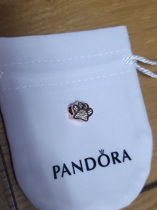 Buy & Sell Healey Rochdale - Photos for Pandora. paw charm with bag