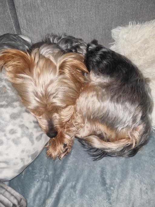 Buy & Sell Bournville Birmingham - Photos for FREE