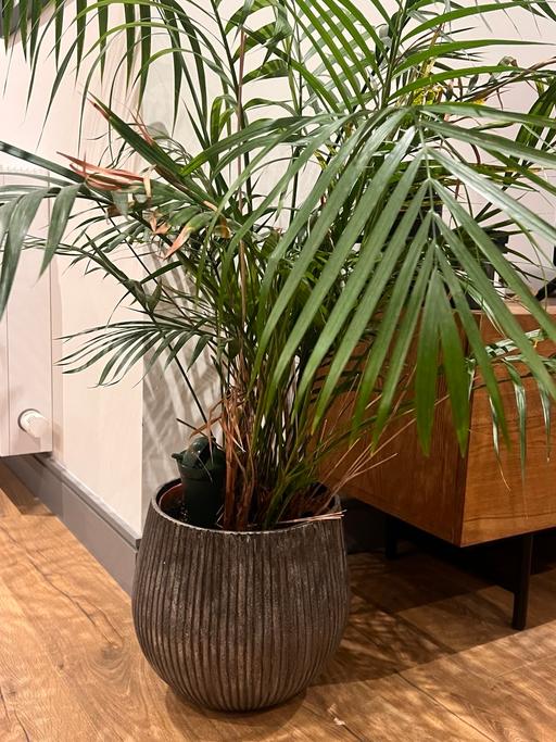 Buy & Sell Tottenham Hale North London - Photos for Grey plant pot