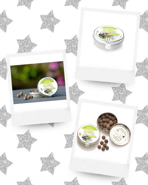 Buy & Sell Newry Newry, Mourne and Down - Photos for Hedgehog Mix