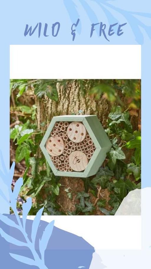 Buy & Sell Newry Newry, Mourne and Down - Photos for Mason Bee HexBox