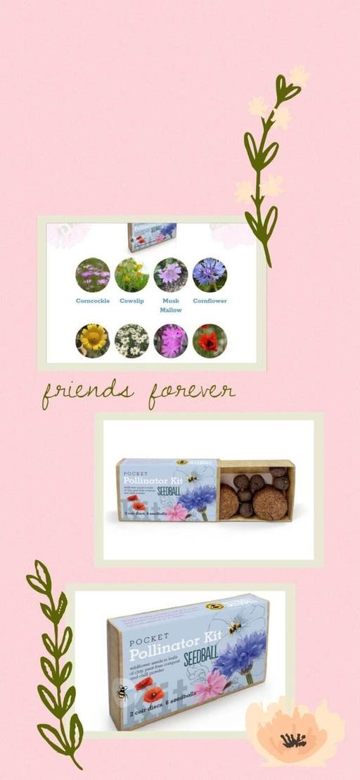 Buy & Sell Newry Newry, Mourne and Down - Photos for Pocket Pollinator Kit