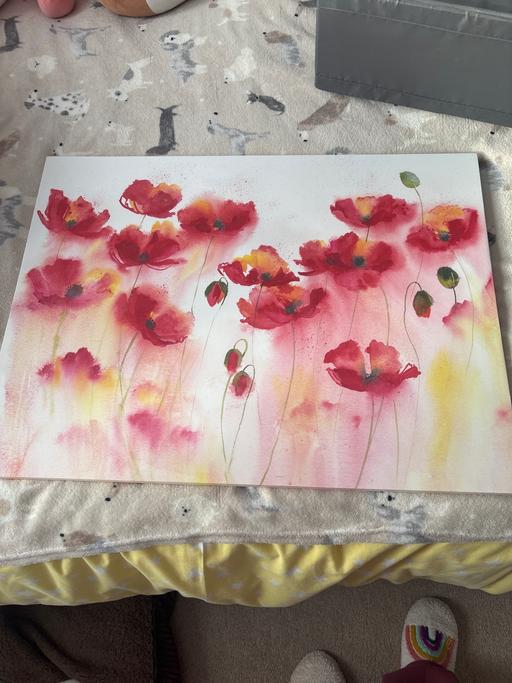 Buy & Sell Bescot Walsall - Photos for Poppy print