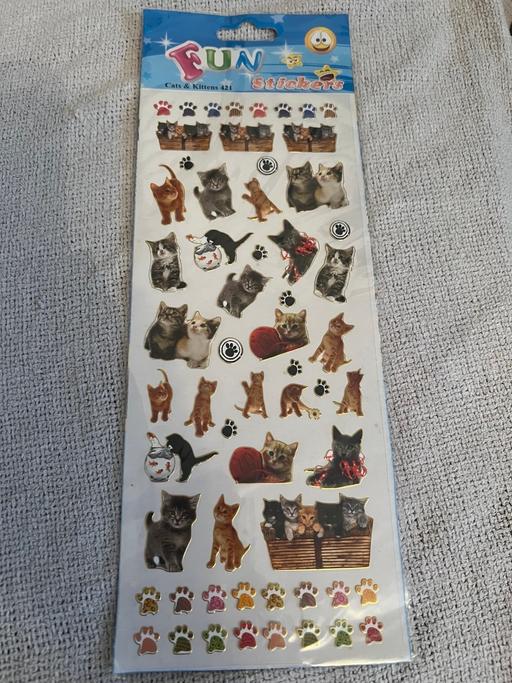 Buy & Sell Easington Lane Sunderland - Photos for Cat Stickers ( New )