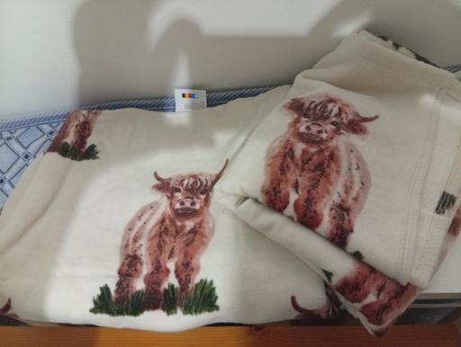 Buy & Sell Parkgate Rotherham - Photos for highland cow