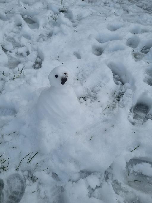 Buy & Sell Bournville Birmingham - Photos for FREE