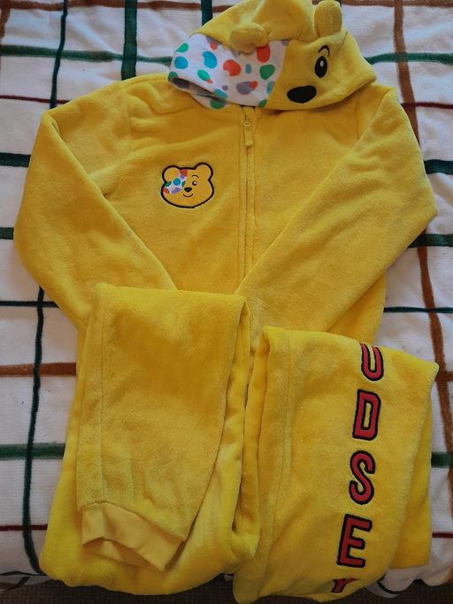 Buy & Sell Quarry Bank Dudley - Photos for pudsey onesie