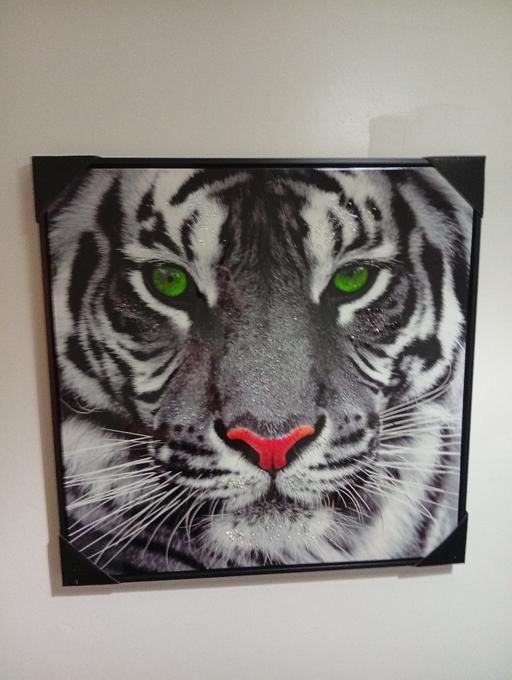 Buy & Sell Parkgate Rotherham - Photos for canvas