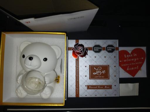 Buy & Sell Uxbridge Hillingdon - Photos for Teddy Bear Preserved Rose with Necklace