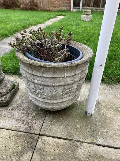 Buy & Sell Herne Bay Canterbury - Photos for Concrete planters x 2