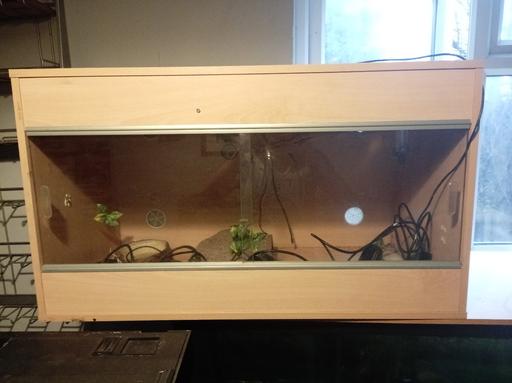 Buy & Sell Woodchurch Wirral - Photos for vivirum