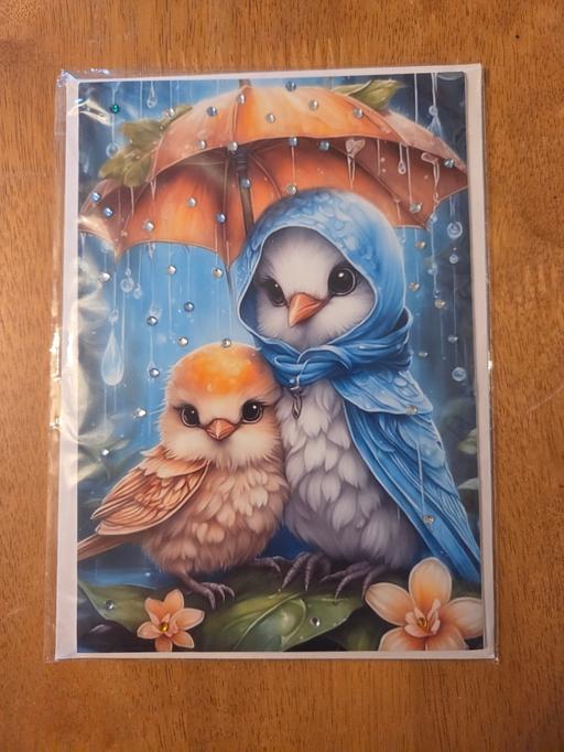 training Garlinge Thanet - Photos for BIRDS IN THE RAIN CARD