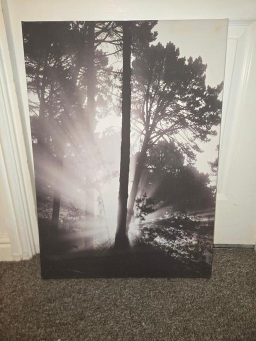 Buy & Sell Thamesmead South East London - Photos for canvas