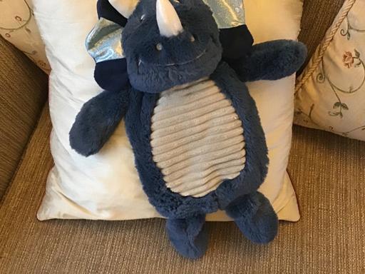 Buy & Sell Essington Wolverhampton - Photos for Dinosaur hot water bottle