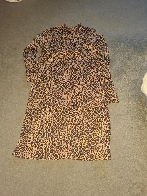 Buy & Sell Dodworth Barnsley - Photos for ladies dress size 8